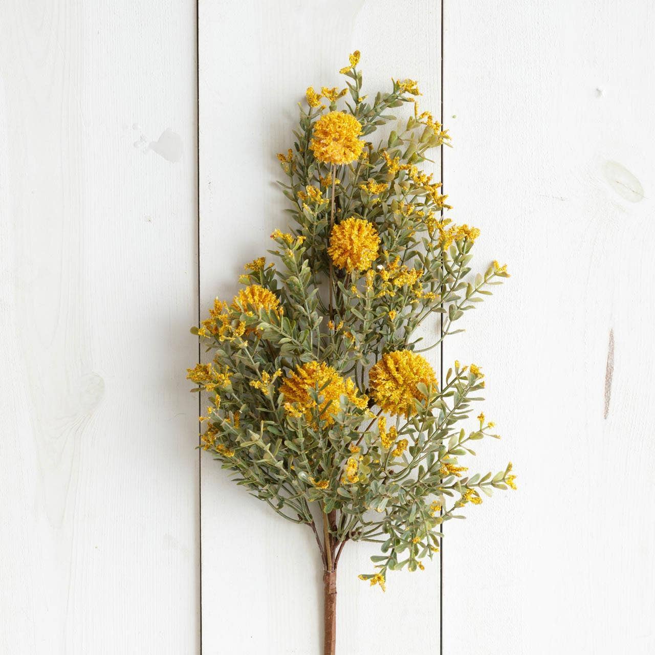 Pick - Gold Billy Button (PC)