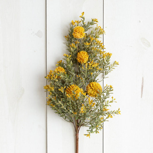 Pick - Gold Billy Button (PC)