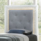 Reflections - Upholstered Panel Headboard With Lights