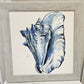 Opal Shell Wall Art