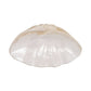 Decorative Bowl - Ivory Resin Coastal Wavy Rim, 16 in.