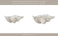 Decorative Bowl - Ivory Resin Coastal Pearlized Shell, 9 in.