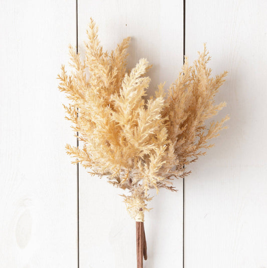 Bunch - Beige Plumes (Pk/02)