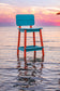 Beaver Dam Saddle Stool w/Back