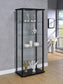 Delphinium - 5-Shelf Clear Glass Curio Display Cabinet - Black
