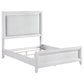 Marielle - Queen Headboard LED Panel Bed - Distressed White