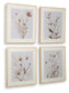 Chettings - Beige / Gray / Blush - Wall Art Set (Set of 4)