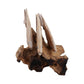 Figurine - Brown Wood Swimming Fish on Branch, 12 in