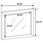 Briana - Dresser Mirror - Black