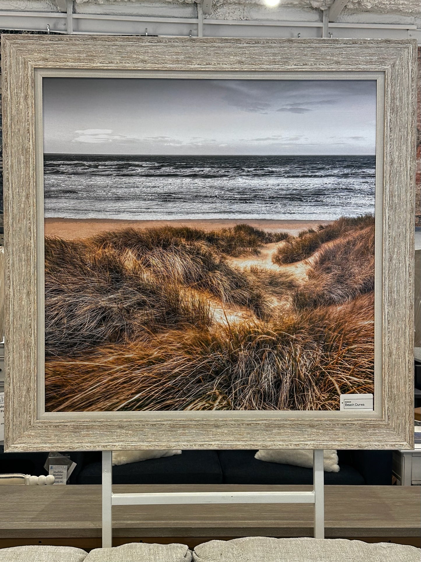 Beach Dunes