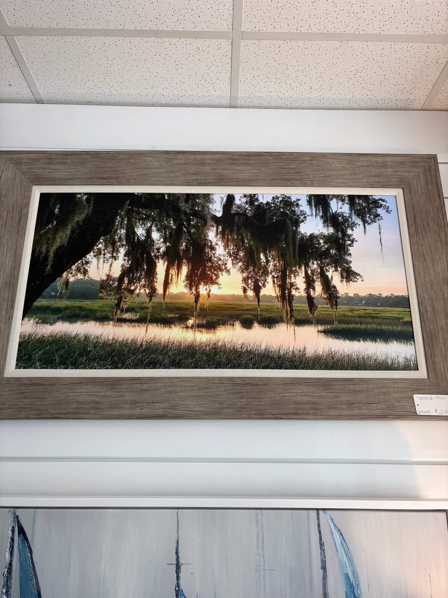 Spanish Moss - Wall Art