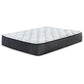 Limited Edition Plush Twin Mattress