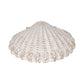 White 8 in. Resin Sea Scallop Shell Woven Pattern Figurine