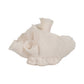 Decorative Figurine - Ivory Resin Coastal Coral, 8 in.